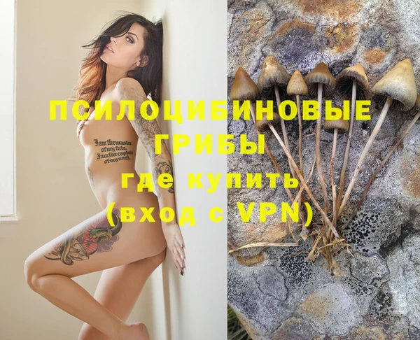 метадон Краснослободск