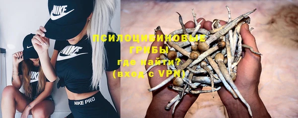 прущие крисы Краснотурьинск