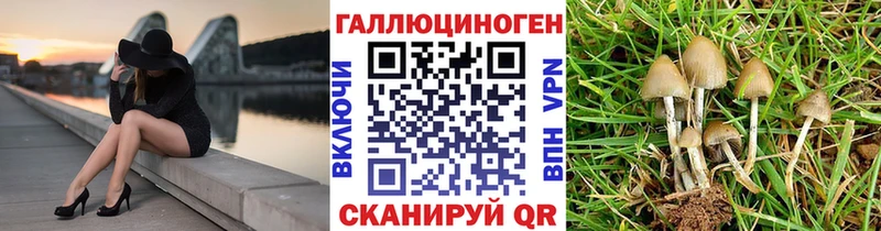 Псилоцибиновые грибы Psilocybe  Купить где  Белая Калитва 